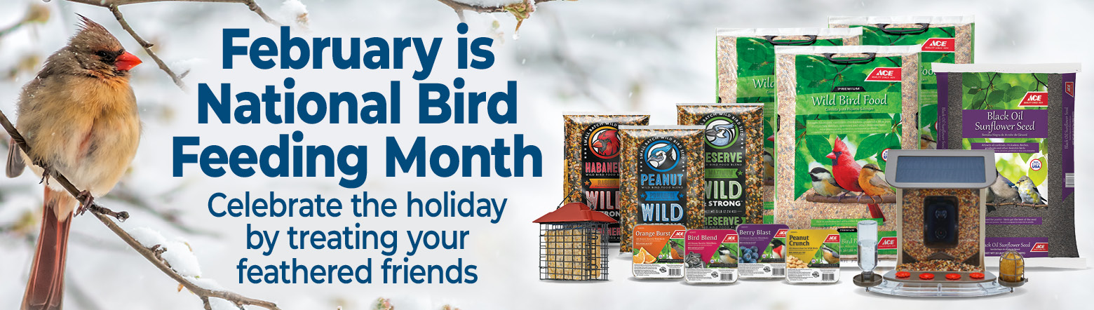 Bird Feeding Month