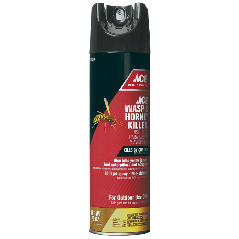 Wasp & Hornet Killer Spray, 20 Oz.