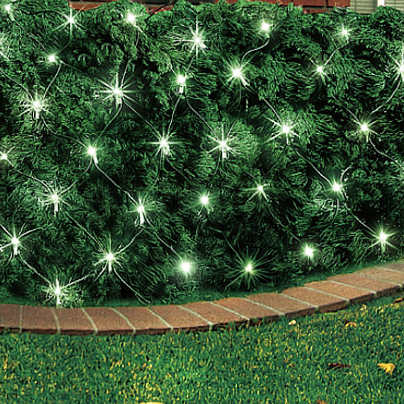 100 Ct. Solar LED Net Light Set