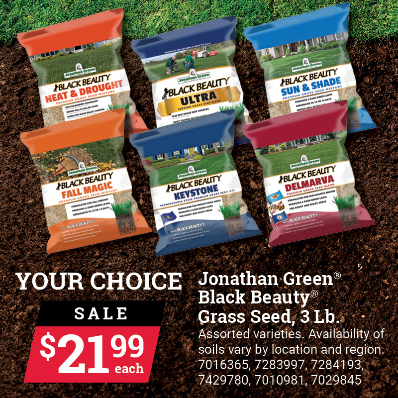 Jonathan Green® Black Beauty® Grass Seed, Lb.