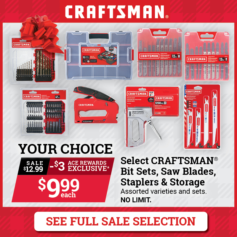 Select Craftsman® Products for Under $10