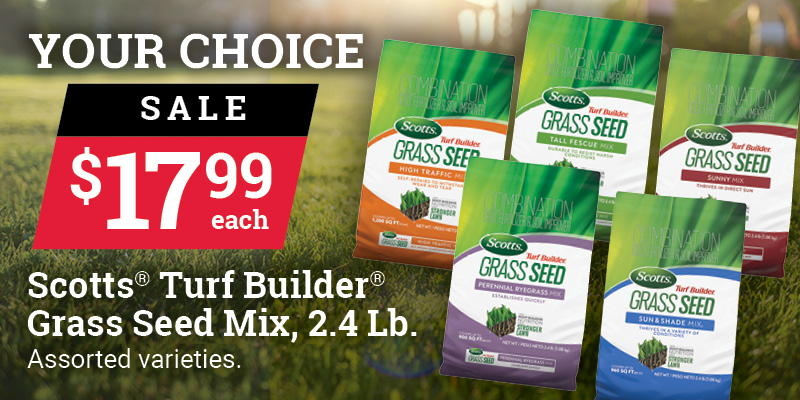 Scotts® Turf Builder® Grass Seed Mix, 2.4 Lb.