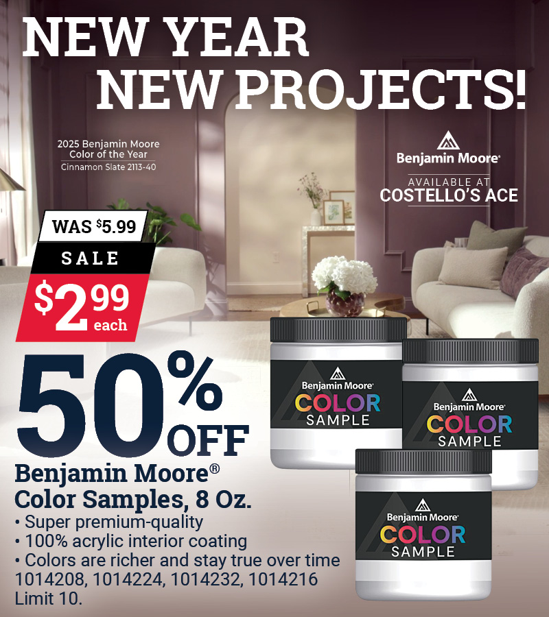 Benjamin Moore® 2025 Color of the Year