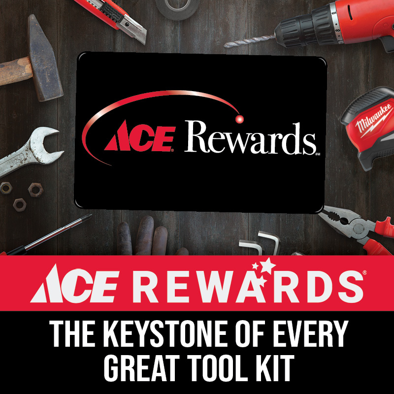 ACE Rewards - January Promo