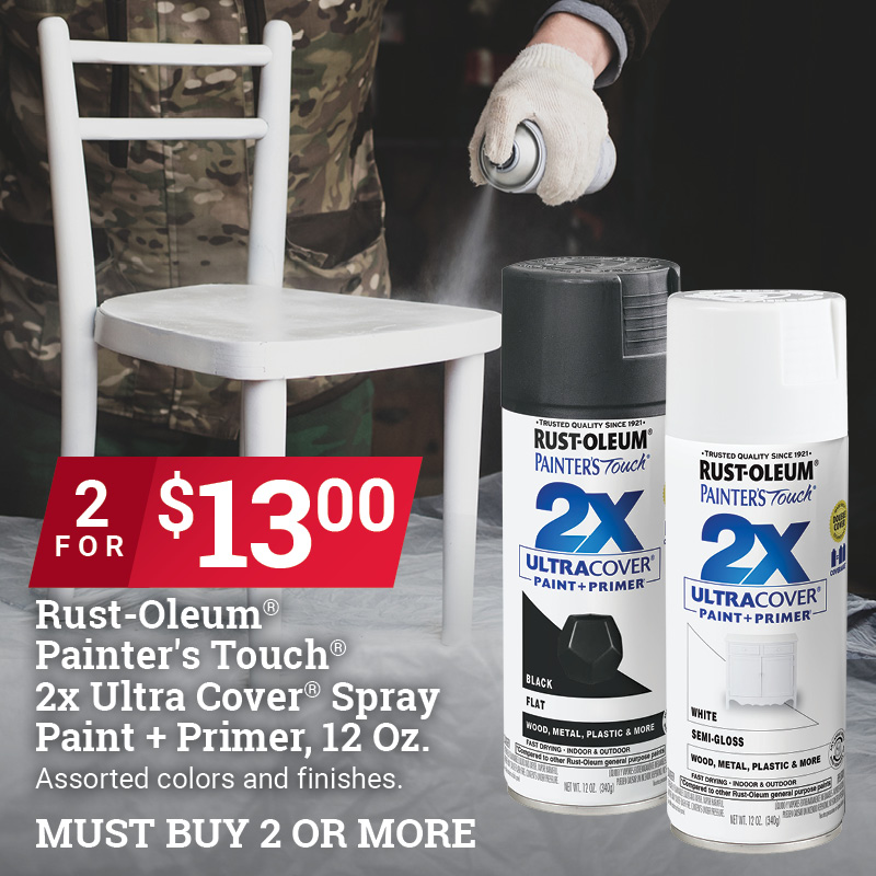 Rust-Oleum® Painter's Touch® 2x Touch Cover® Spray Paint + Primer, 12 Oz.