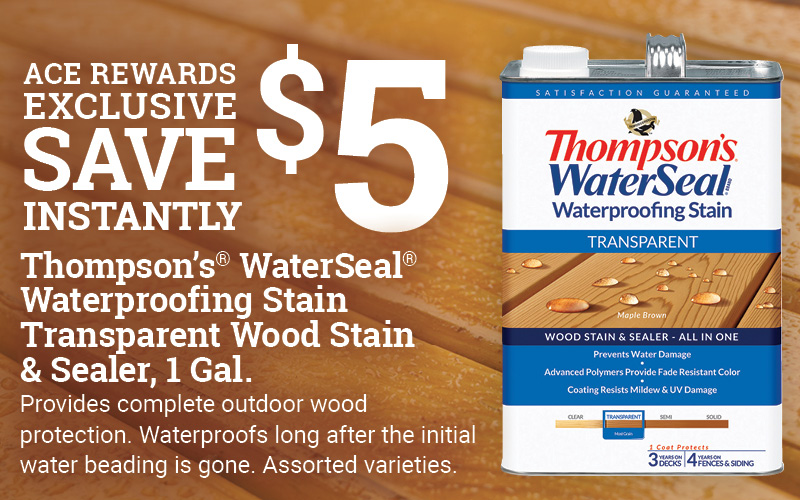 Thompson's® WaterSeal® Waterproofing Stain Transparent Wood Stain & Sealer, 1 Gal.