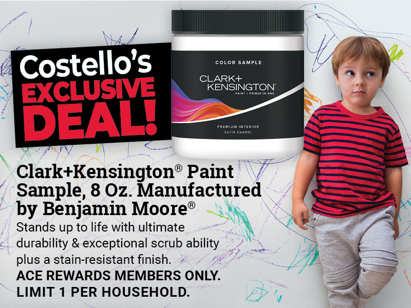 Clark+Kensington® Paint Sample, 8 Oz.