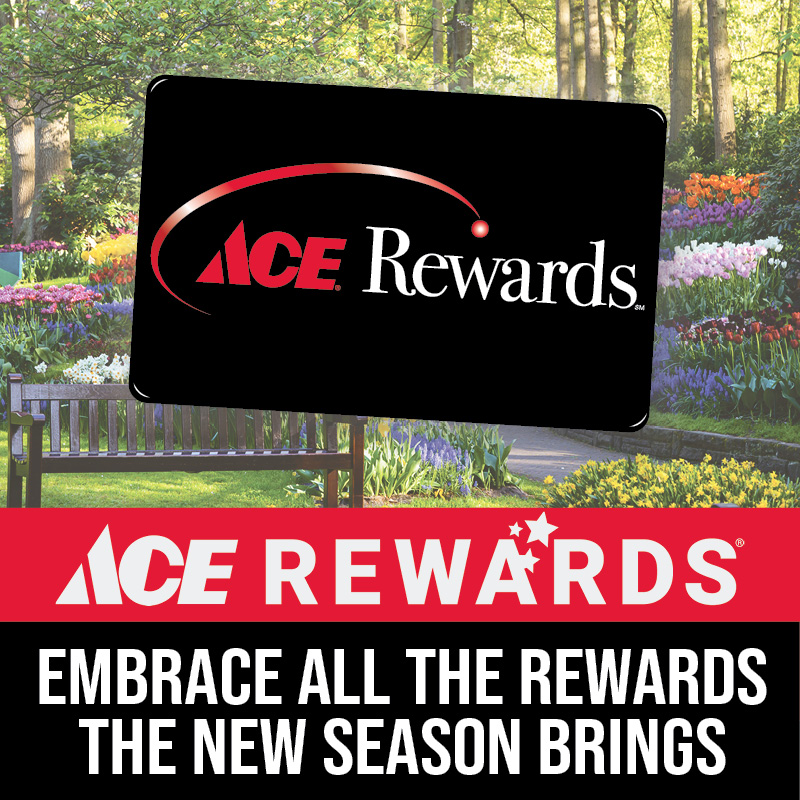 ACE Rewards - March Promo