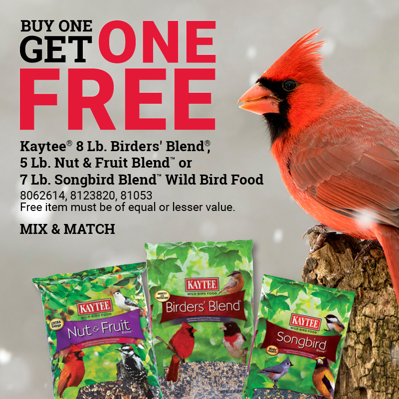 Select Kaytee® Bird Seed