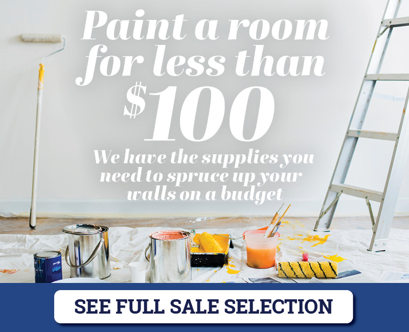 Paint A Room For Under $100