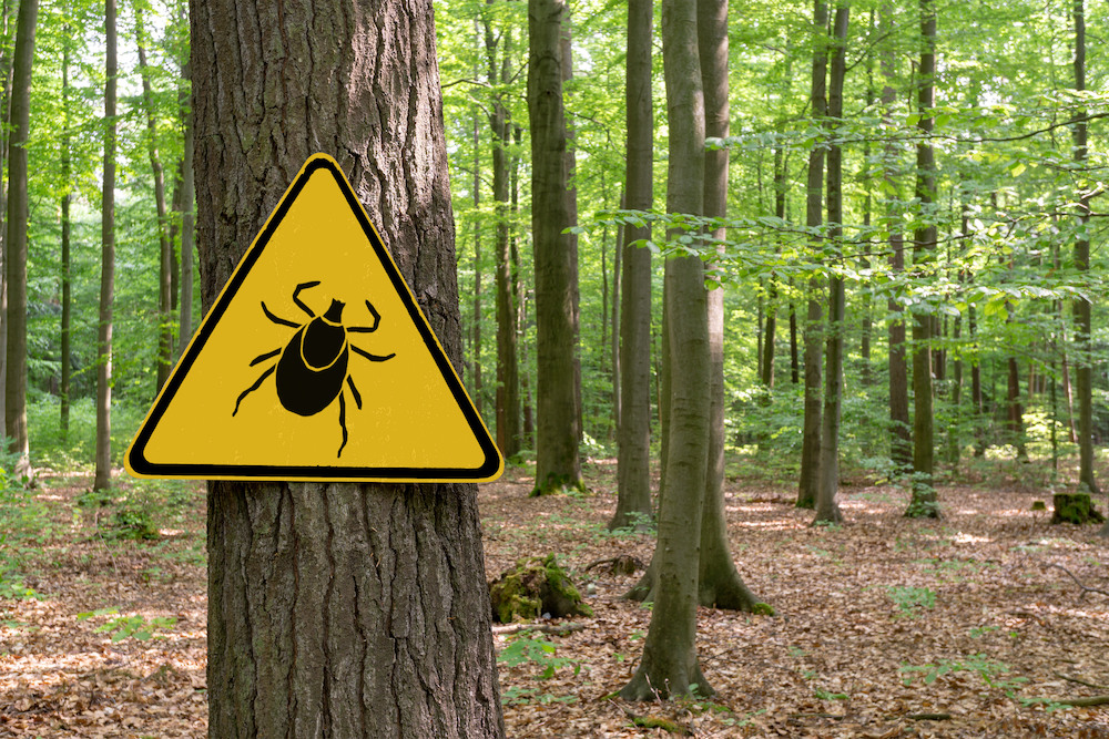 How to Keep Ticks Away - Costello's Ace